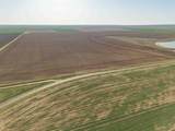  Friemel 660 Acres - Photo 2