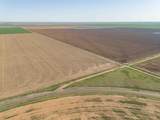  Friemel 660 Acres - Photo 4