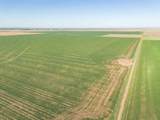  Friemel 980 Acres - Photo 10