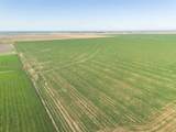  Friemel 980 Acres - Photo 11