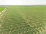  Friemel 980 Acres - Photo 13