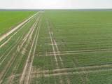  Friemel 980 Acres - Photo 3