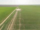  Friemel 980 Acres - Photo 5
