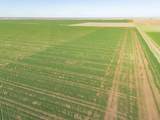  Friemel 980 Acres - Photo 7