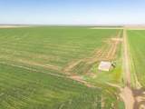  Friemel 980 Acres - Photo 9