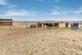 23000 Arnot Road - Photo 37