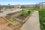620 Lantana Road - Photo 24
