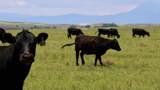 48999 County Road 48 - Photo 1