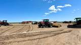 48999 County Road 48 - Photo 21