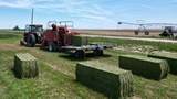 48999 County Road 48 - Photo 29