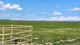 48999 County Road 48 - Photo 39