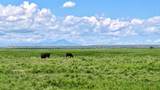 48999 County Road 48 - Photo 4