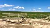 48999 County Road 48 - Photo 40