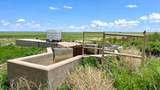 48999 County Road 48 - Photo 42