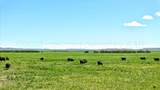 48999 County Road 48 - Photo 5