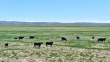48999 County Road 48 - Photo 6