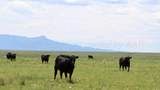 48999 County Road 48 - Photo 7