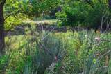 258 Carroll Creek - Photo 47
