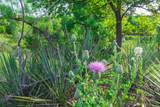 258 Carroll Creek - Photo 49