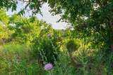 258 Carroll Creek - Photo 50