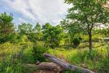 258 Carroll Creek - Photo 51