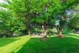 258 Carroll Creek - Photo 52