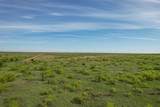  Tracts 1-6 Co Rd N - Photo 15