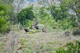 5029 Fm1260 - Photo 29