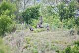 5029 Fm1260 - Photo 30