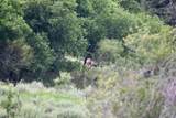 5029 Fm1260 - Photo 31
