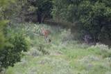 5029 Fm1260 - Photo 33