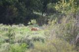 5029 Fm1260 - Photo 34