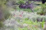 5029 Fm1260 - Photo 38