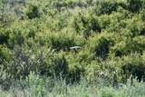 5029 Fm1260 - Photo 39