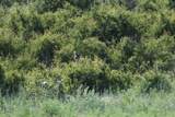 5029 Fm1260 - Photo 40