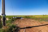  Boomer Place Hotel Rd & Cr 22 - Photo 5