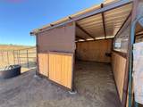 11201 Western Street - Photo 42