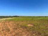  161.75 Acres Motley Co - Photo 15