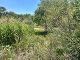  161.75 Acres Motley Co - Photo 7