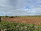 0 1680 Road - Photo 7