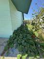 1607 Evergreen Street - Photo 15