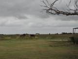 4125 Fm 1259 - Photo 16