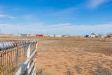 118 Valencia Drive - Photo 80