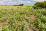  Spring Creek 160 Acres - Photo 8