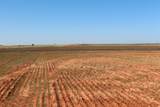 325 acres Childress - Photo 12