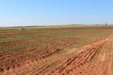 325 acres Childress - Photo 13
