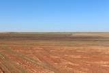 325 acres Childress - Photo 16