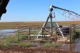 325 acres Childress - Photo 19