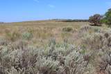 325 acres Childress - Photo 25