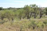 325 acres Childress - Photo 29